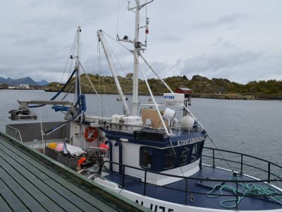 Holiday house 4 person holiday home in Gravdal-By Traum - Outdoor photo 17