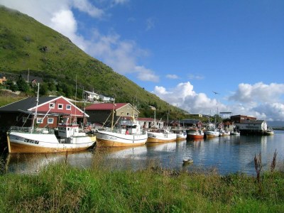 Holiday house 4 person holiday home in Gravdal-By Traum - Outdoor photo 19