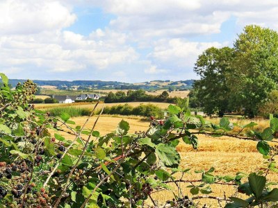 Apartment 7 Personen Ferienhaus in Faaborg-By Traum - Outdoor photo 27