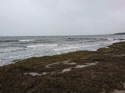 Holiday house Luxus Strandhaus -- By Traum Ferienwohnungen - Outdoor photo 19