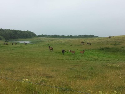 Holiday house Luxus Strandhaus -- By Traum Ferienwohnungen - Outdoor photo 26