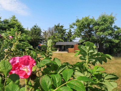 Holiday house 8 Personen Ferienhaus in Hjørring-By Traum - Outdoor photo 6