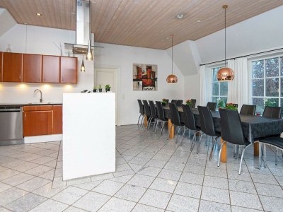 Holiday house 18 Personen Ferienhaus in Ulfborg-By Traum - Outdoor photo 11