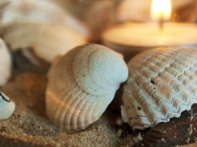 Holiday house 18 Personen Ferienhaus in Ulfborg-By Traum - Outdoor photo 14