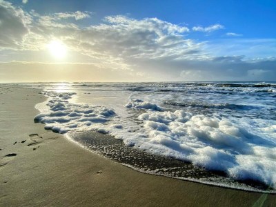 Holiday house 18 Personen Ferienhaus in Ulfborg-By Traum - Outdoor photo 40