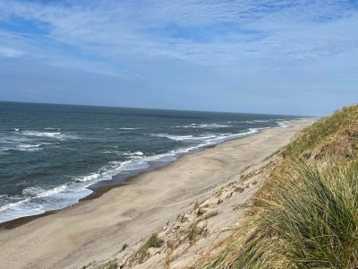Holiday house 18 Personen Ferienhaus in Ulfborg-By Traum - Outdoor photo 46
