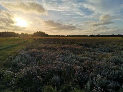 Holiday house Family-friendly Oasis - By Traum Ferienwohnungen - Outdoor photo 36