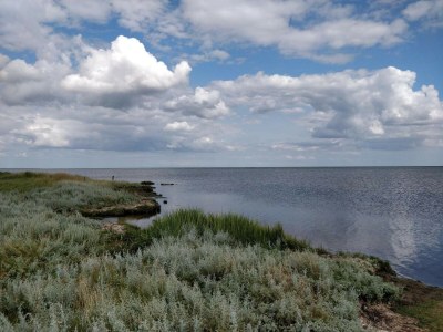 Holiday house Family-friendly Oasis - By Traum Ferienwohnungen - Outdoor photo 40