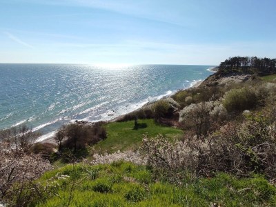 Holiday house 8 person holiday home in Ebeltoft-By Traum - Outdoor photo 13