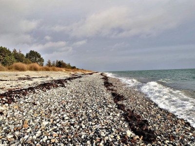 Holiday house 8 person holiday home in Ebeltoft-By Traum - Outdoor photo 14
