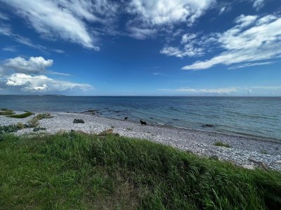 Holiday house 8 person holiday home in Ebeltoft-By Traum - Outdoor photo 15