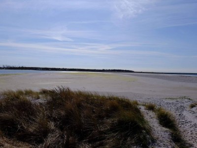 Holiday house 8 person holiday home in Ebeltoft-By Traum - Outdoor photo 22