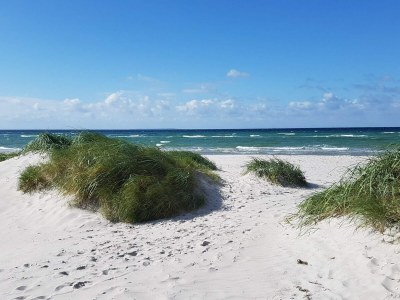 Holiday house 8 person holiday home in Ebeltoft-By Traum - Outdoor photo 24