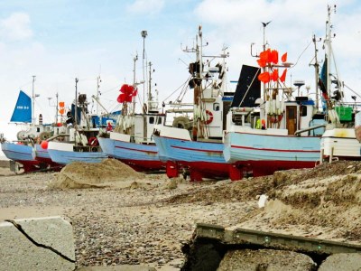 Holiday house 7 person holiday home in Fjerritslev-By Traum - Outdoor photo 12