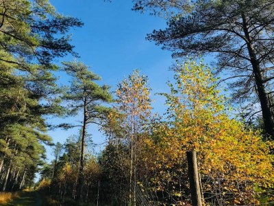 Holiday house 7 person holiday home in Fjerritslev-By Traum - Outdoor photo 24