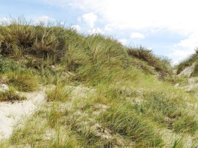 Holiday house 7 person holiday home in Fjerritslev-By Traum - Outdoor photo 32