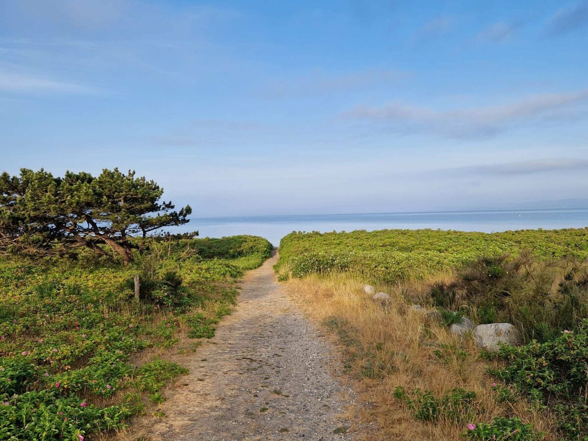 Holiday house 14 person holiday home in Ebeltoft-By Traum - Outdoor photo 2