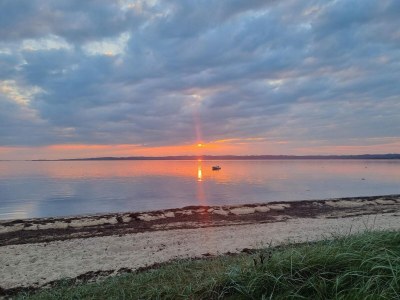 Holiday house 14 person holiday home in Ebeltoft-By Traum - Outdoor photo 24