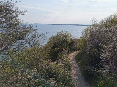 Holiday house 14 person holiday home in Ebeltoft-By Traum - Outdoor photo 31