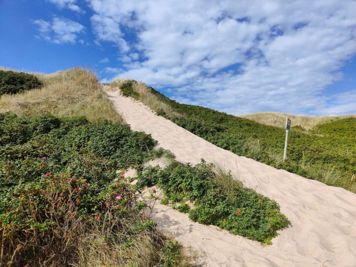 Holiday house 5 Personen Ferienhaus in Ringkøbing-By Traum - Outdoor photo 3