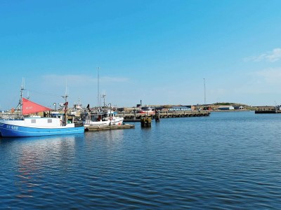 Holiday house 5 Personen Ferienhaus in Ringkøbing-By Traum - Outdoor photo 11