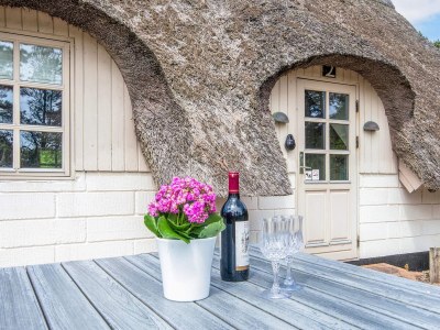 Holiday house 5 Personen Ferienhaus in Ringkøbing-By Traum - Outdoor photo 22