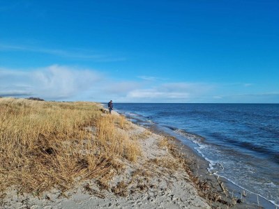 Holiday house 6 Personen Ferienhaus in Storvorde-By Traum - Outdoor photo 11