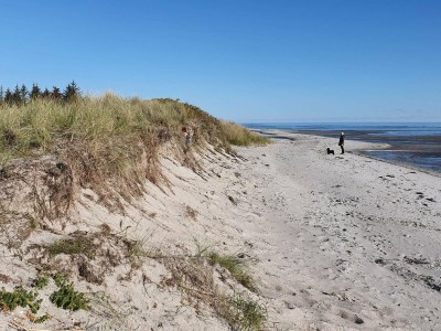 Holiday house 6 Personen Ferienhaus in Storvorde-By Traum - Outdoor photo 12