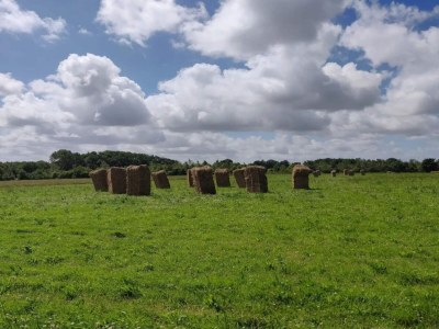 Holiday house 5 Personen Ferienhaus in Roslev-By Traum - Outdoor photo 6