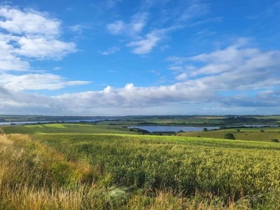 Holiday house 5 Personen Ferienhaus in Roslev-By Traum - Outdoor photo 7