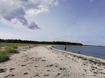 Holiday house 5 Personen Ferienhaus in Roslev-By Traum - Outdoor photo 30