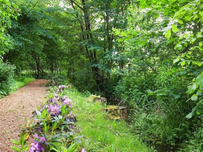 Holiday house 5 Personen Ferienhaus in Roslev-By Traum - Outdoor photo 35