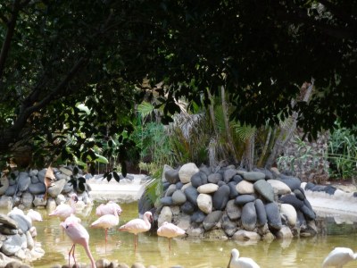 Holiday house Casita Noelia, Residencial Panorama Jardin - Environment photo 19