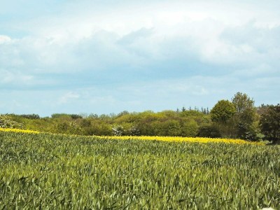 Holiday house 20 person holiday home in Nordborg-By Traum - Outdoor photo 8