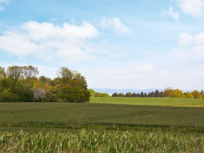 Holiday house 20 person holiday home in Nordborg-By Traum - Outdoor photo 40