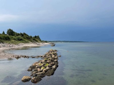 Holiday house Luxus-Ruckzugsort am Skastrup -- By Traum Ferienwohnungen - Outdoor photo 31