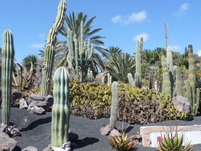 Holiday house Casa Libertad, Residencial Panorama Jardin - Environment photo 28