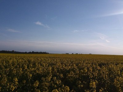 Holiday house 6 person holiday home in Jægerspris-By Traum - Outdoor photo 24