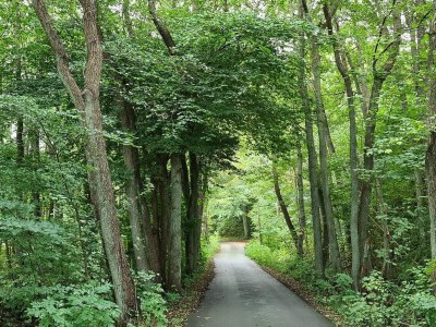 Holiday house 6 person holiday home in Jægerspris-By Traum - Outdoor photo 27