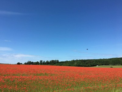 Holiday house 6 person holiday home in Jægerspris-By Traum - Outdoor photo 31