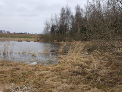 Holiday house 6 person holiday home in Jægerspris-By Traum - Outdoor photo 34