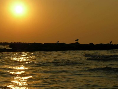 Holiday house Beachfront Bliss in Snogebaek - By Traum Ferienwohnungen - Outdoor photo 12