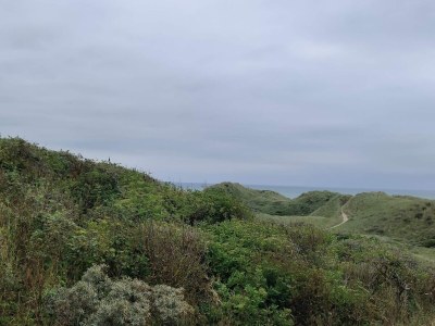 Holiday house 6 person holiday home in Hirtshals-By Traum - Outdoor photo 25
