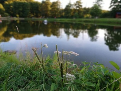 Holiday house Luxury Retreat by Asbolholm - By Traum Ferienwohnungen - Outdoor photo 11
