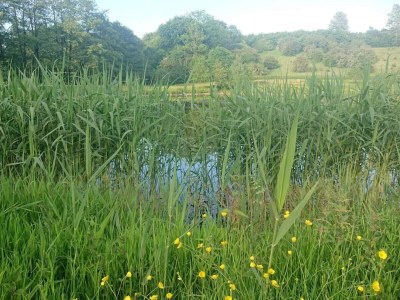 Holiday house Luxury Retreat by Asbolholm - By Traum Ferienwohnungen - Outdoor photo 16
