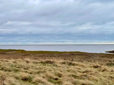 Holiday house 8 Personen Ferienhaus in Ørsted-By Traum - Outdoor photo 7