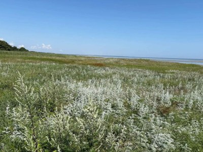 Holiday house 8 Personen Ferienhaus in Ørsted-By Traum - Outdoor photo 33