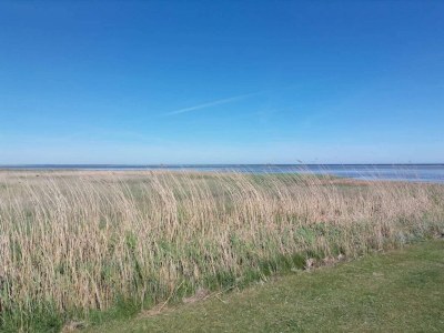 Holiday house 8 Personen Ferienhaus in Ørsted-By Traum - Outdoor photo 38