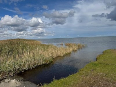 Holiday house 8 Personen Ferienhaus in Ørsted-By Traum - Outdoor photo 39
