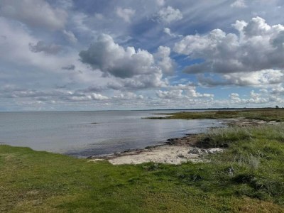 Holiday house 8 Personen Ferienhaus in Ørsted-By Traum - Outdoor photo 43